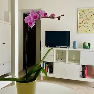Cozy Gambara - Sansiro Apartamento